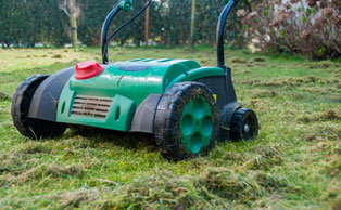 Lawn Aeration