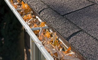 Gutter Cleaning