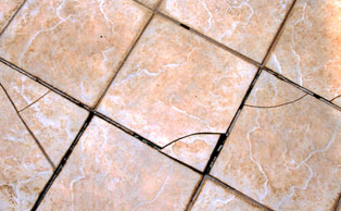 Tile Repair