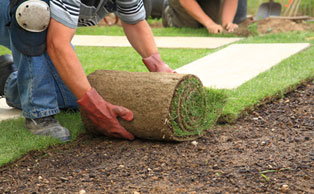 Laying New Sod